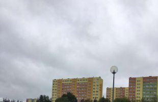 received 1793366284287233 (Copy)