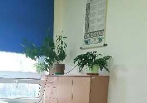 2397 1508922290436 (Copy)