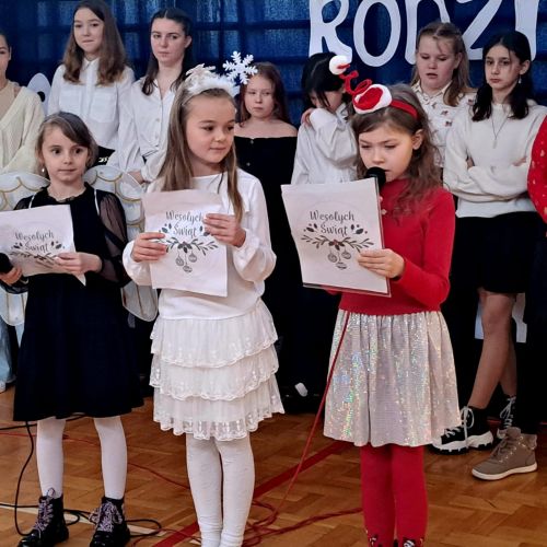 Jaselka2023(4)