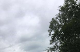 received 1793366254287236 (Copy)