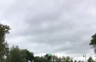 received 1793366274287234 (Copy)